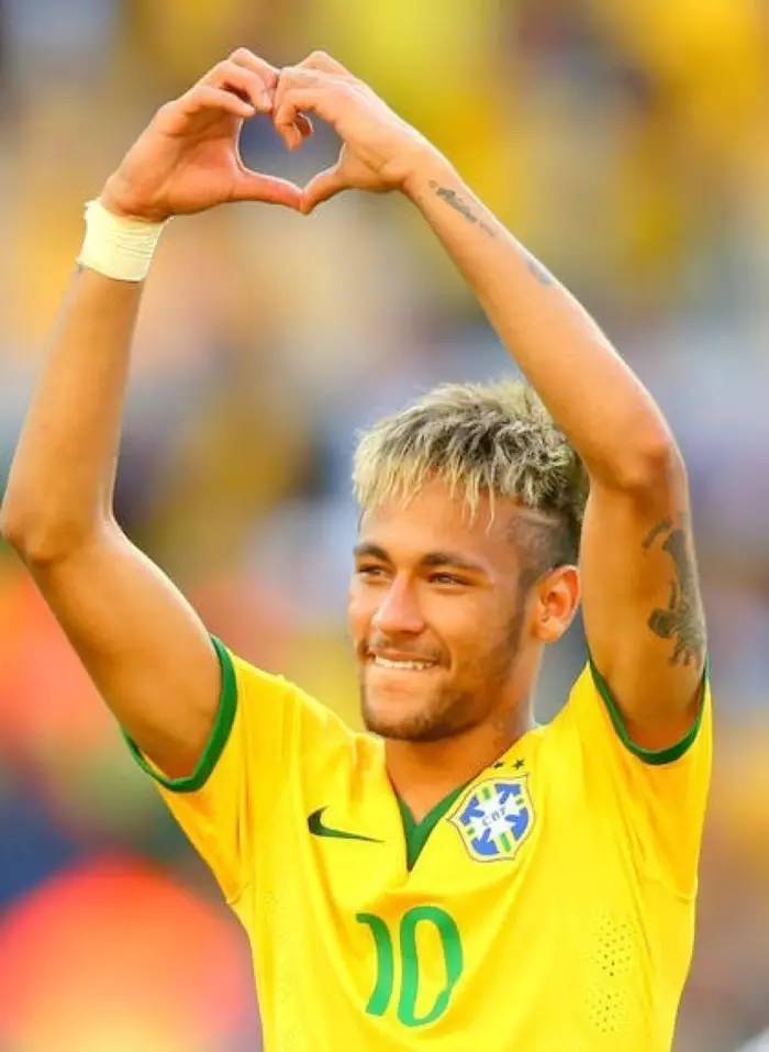 毛球运动员 毛球运动员